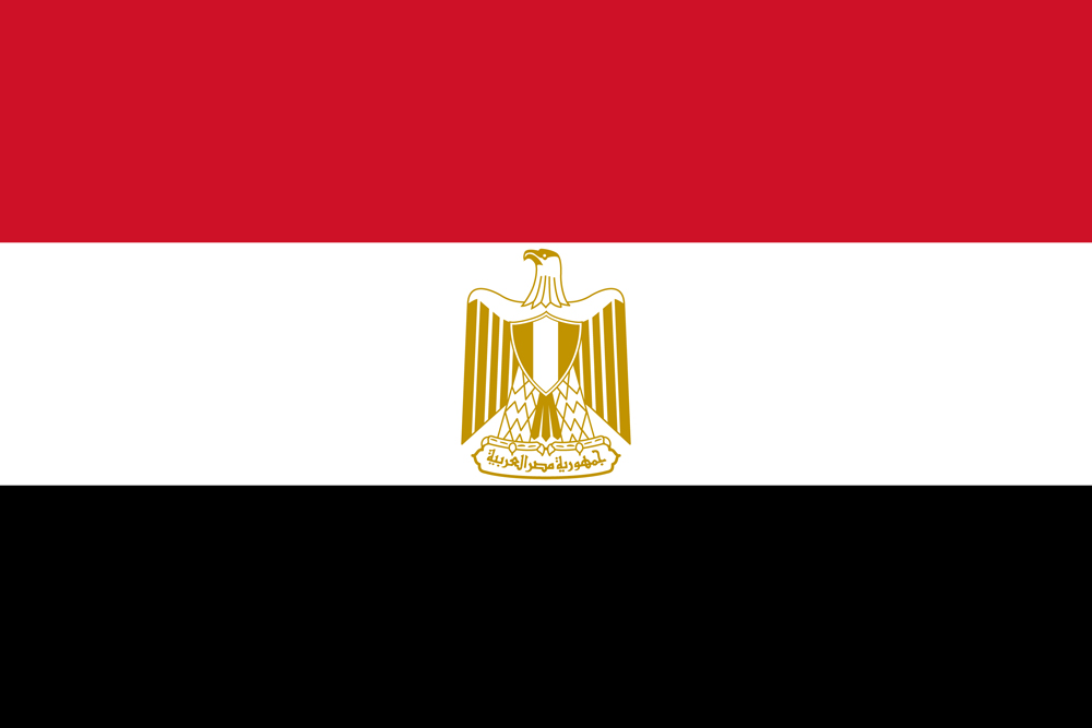 a red white and black flag
