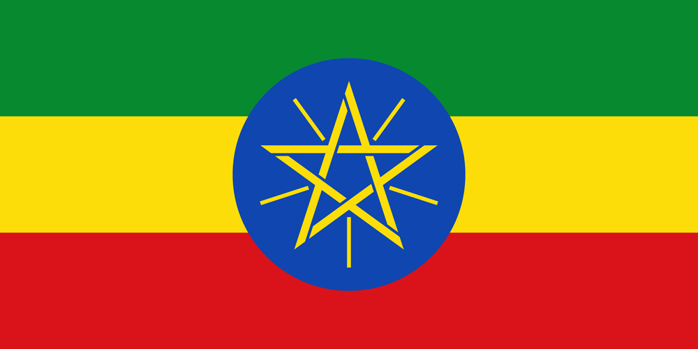 a flag with a star in a circle